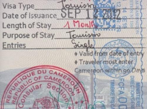 Visa Cameroun  Demande de Visa en ligne  RapideVisa